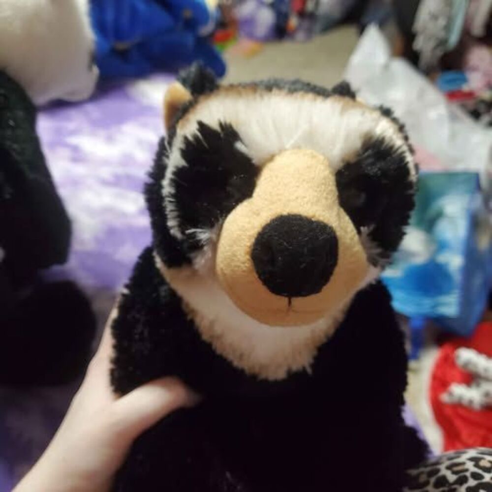 Build a bear Ardrian Bear/Sun Bear St Louis Zoo Exclusive *rare